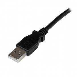 STARTECH Câble Imprimante USB 2.0 A vers B