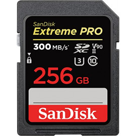 sandisk Extreme PRO 256 Go SDXC