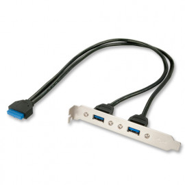 Lindy Cache d'emplacement 2 ports USB 3.0 type A