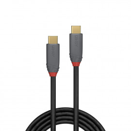 Lindy Câble USB 3.1 type C C 5A Anthra Line 0.5m