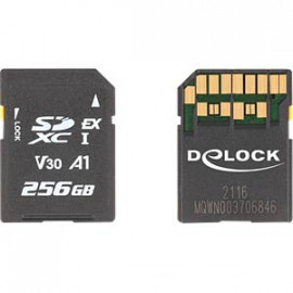 DeLock Carte de mémoire SD Express 256 Go