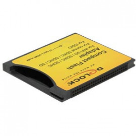 DeLock Adaptateur Compact Flash pour cartes mémoire iSDIO