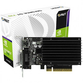 PALIT Carte Graphique Nvidia  GeForce GT710 2048 Mo PCI-E