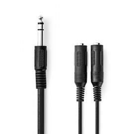 Nedis Câble audio stéréo 6.35 mm Mâle 2x 6.35 mm femelle Plaqué nickel 0.20 m Rond Boîte