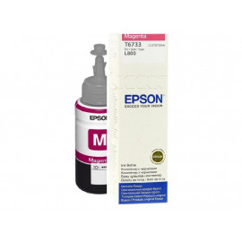 EPSON Epson T6733